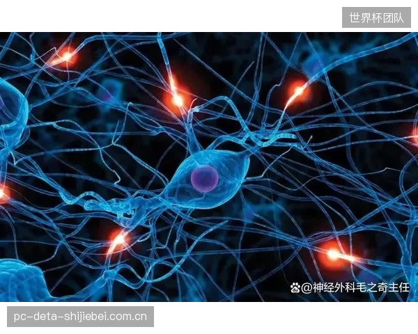 上海体大实验室借助FSR瞬态压力数据,研究运动干预对帕金森早期患者的积极影响 上海体大实验室借助FSR瞬态压力数据,研究运动干预对帕金森早期患者的积极影响